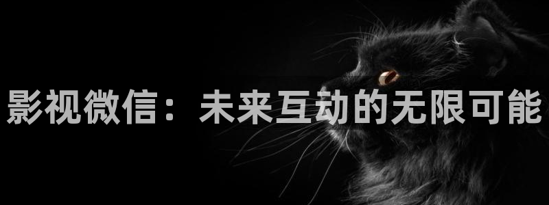 九九视频免费在线观看：影视微信：未来互动的无限可能