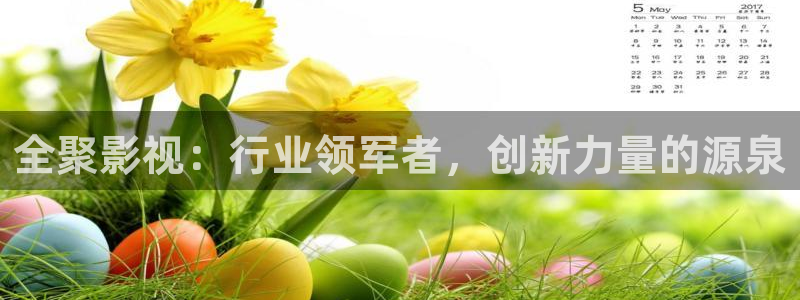 九九精美小视频：全聚影视：行业领军者，创新力量的源泉