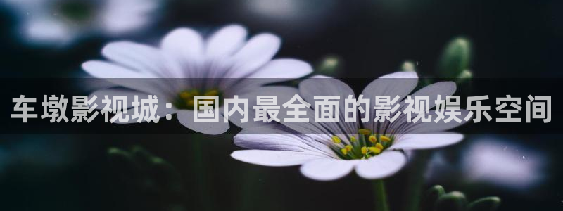 九九热小视频：车墩影视城：国内最全面的影视娱乐空间
