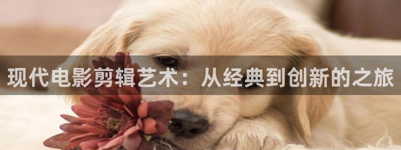 九九影院电视剧在线：现代电影剪辑艺术：从经典到创新的之旅